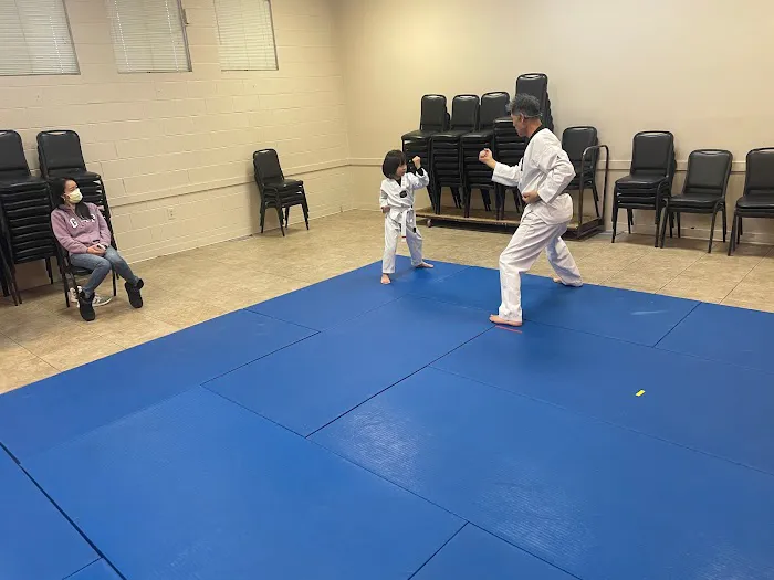 Kim's Academy of Taekwondo Picture 9