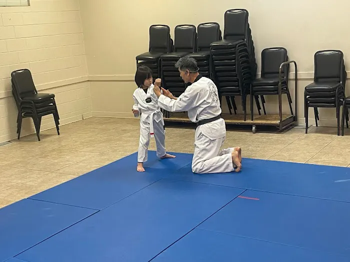 Kim's Academy of Taekwondo Picture 10