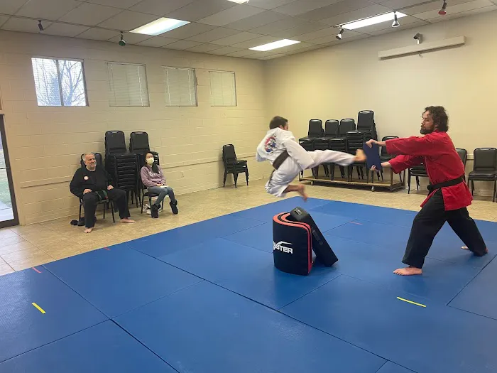Kim's Academy of Taekwondo Picture 1