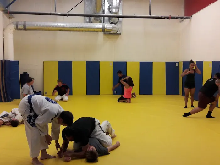 Integrated Martial Arts Picture 1