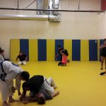 Integrated Martial Arts
