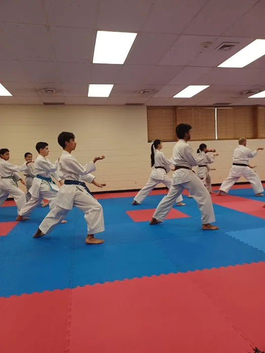 Utah Shotokan Karate Picture 7