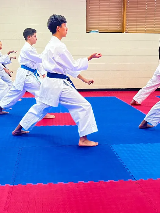 Utah Shotokan Karate Picture 1