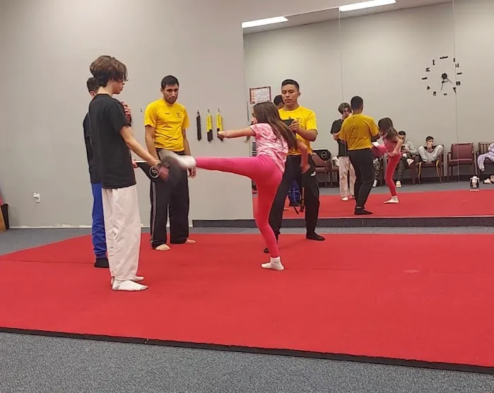 Golden Phoenix Martial Arts Picture 1