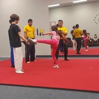 Golden Phoenix Martial Arts ico