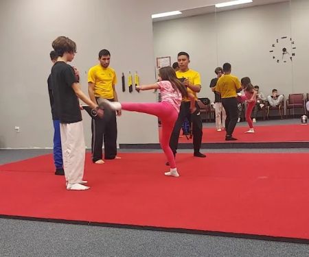 Golden Phoenix Martial Arts