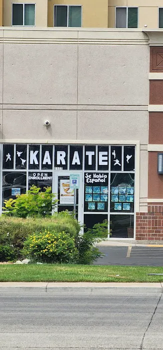 Golden Phoenix Martial Arts Picture 10