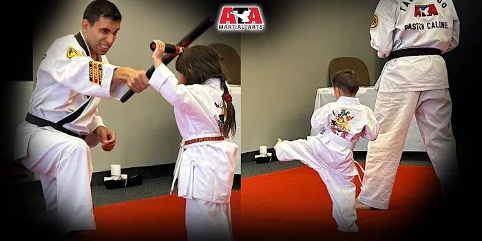 Golden Phoenix Martial Arts Picture 9