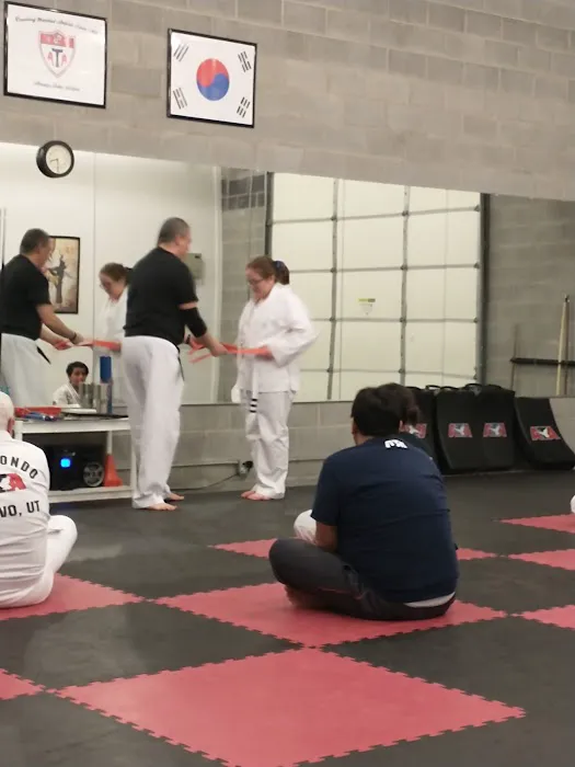 Provo ATA Martial Arts Picture 4