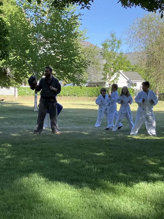 Tiger Den Dojo Picture 2