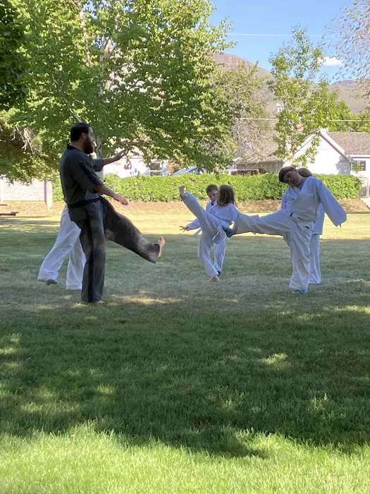 Tiger Den Dojo Picture 1