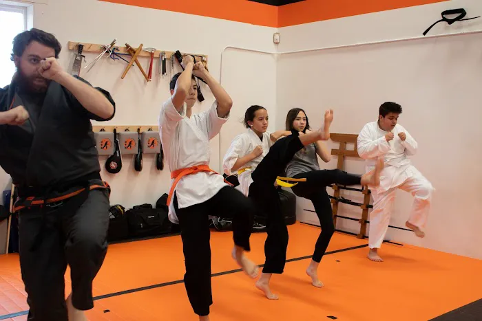Tiger Den Dojo Picture 6