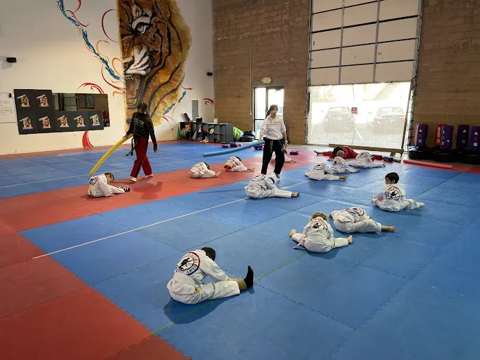 Jeon's World TaeKwondo / After School Program Picture 2