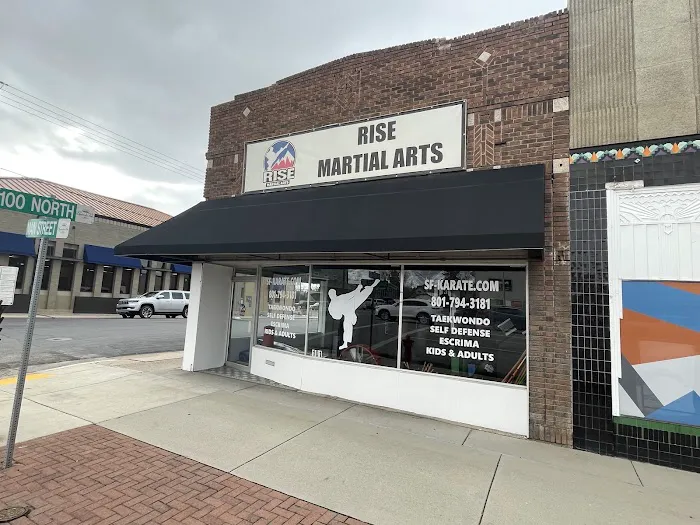 Rise Martial Arts Picture 4