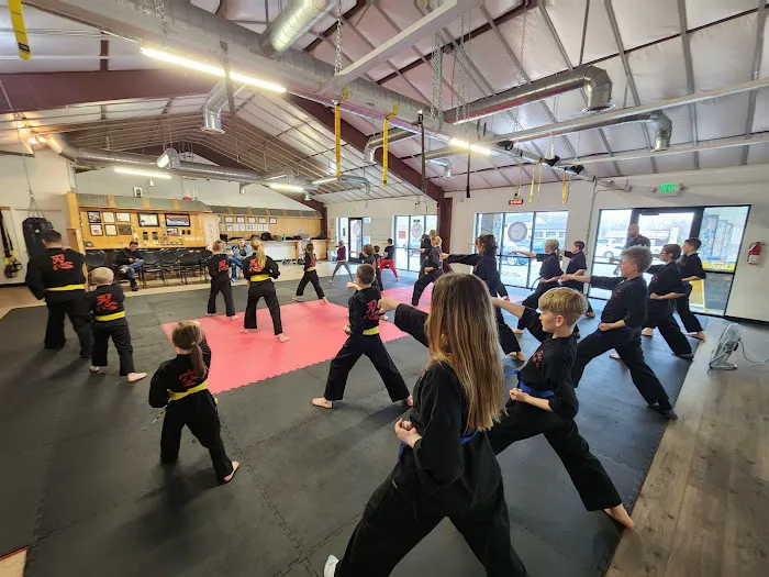 Elite Yoshukai Karate Picture 3