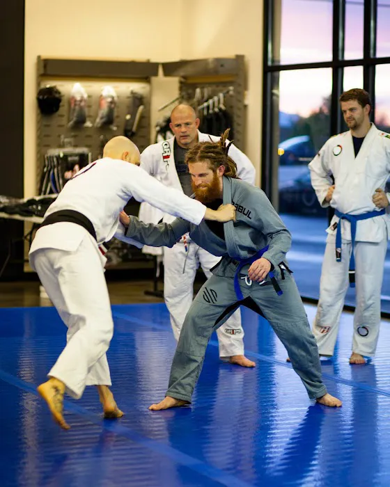 Mushin Self Defense Picture 10