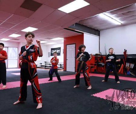 Valor Academy of Martial Arts