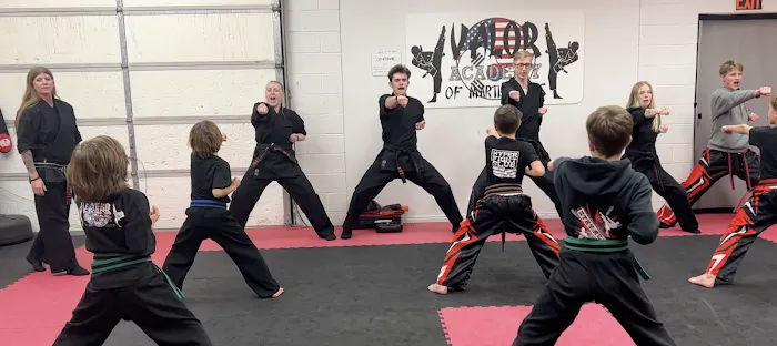 Valor Academy of Martial Arts Picture 10