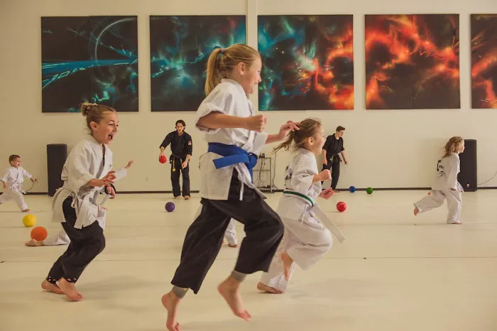 Kona Karate Centerville Picture 3