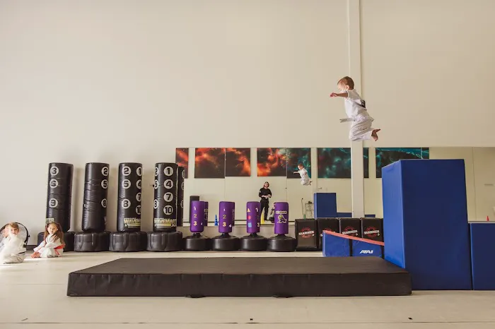 Kona Karate Centerville Picture 2