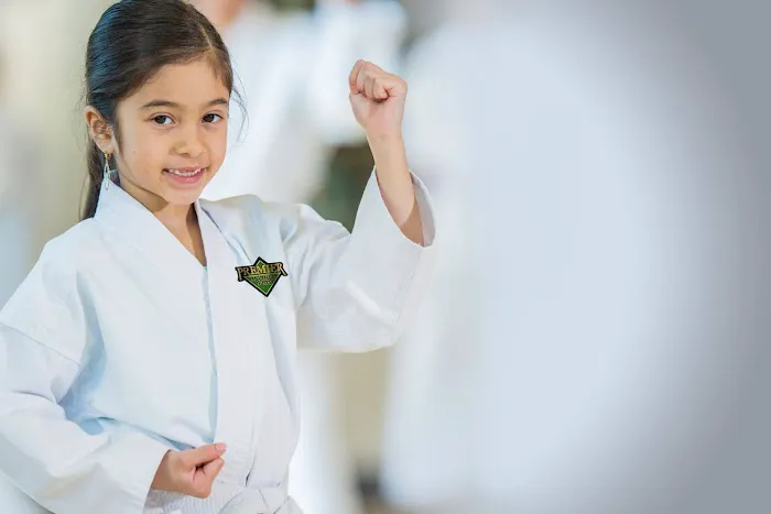 Premier Martial Arts (240 N 300 W, Kaysville) Picture 6