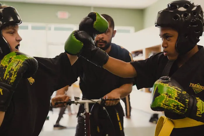 Premier Martial Arts (240 N 300 W, Kaysville) Picture 7