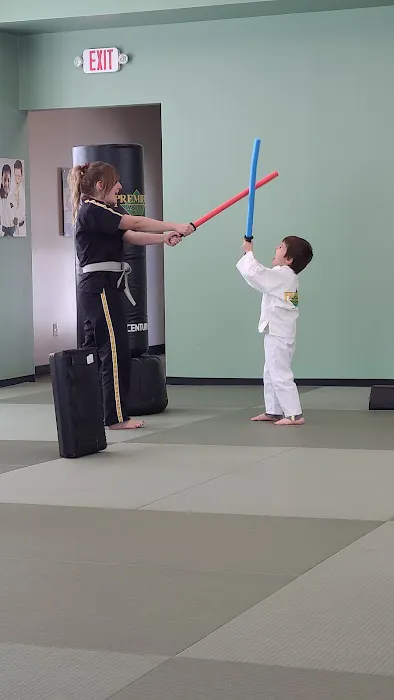 Premier Martial Arts (240 N 300 W, Kaysville) Picture 4