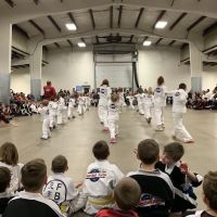 Championship Martial Arts ico