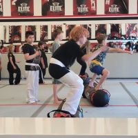 Tobin's Elite Academy of Martial Arts T.E.A.M. ico