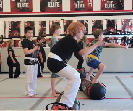 Tobin's Elite Academy of Martial Arts T.E.A.M.