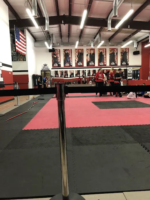 Tobin's Elite Academy of Martial Arts T.E.A.M. Picture 5
