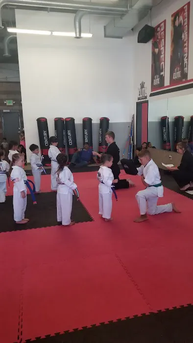 Tobin's Elite Academy of Martial Arts T.E.A.M. Picture 7