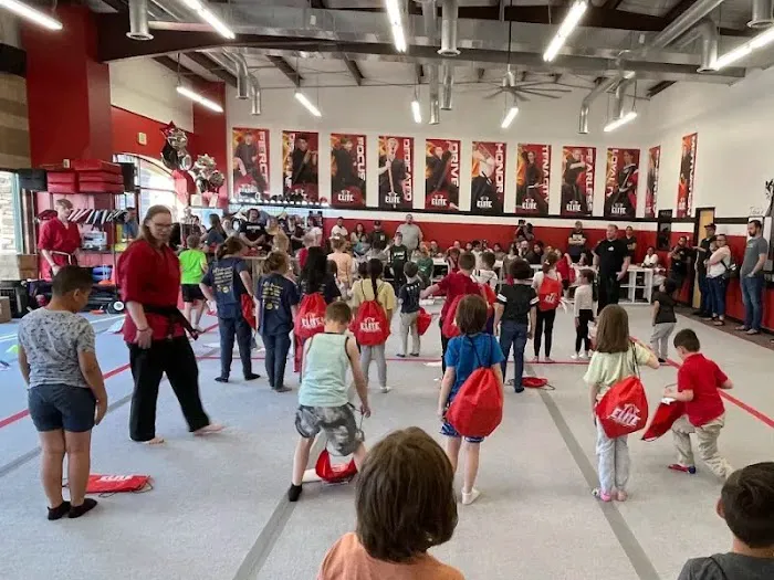 Tobin's Elite Academy of Martial Arts T.E.A.M. Picture 8