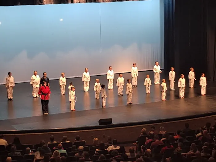 Championship Martial Arts Picture 2