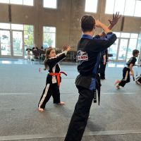 Championship Martial Arts ico