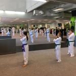 Evolutionary Martial Arts