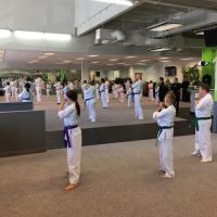 Evolutionary Martial Arts ico