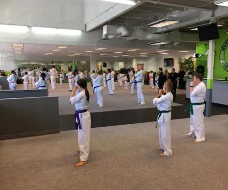 Evolutionary Martial Arts