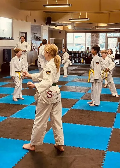 Shiba Taekwondo Picture 10