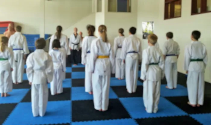 Shiba Taekwondo Picture 4