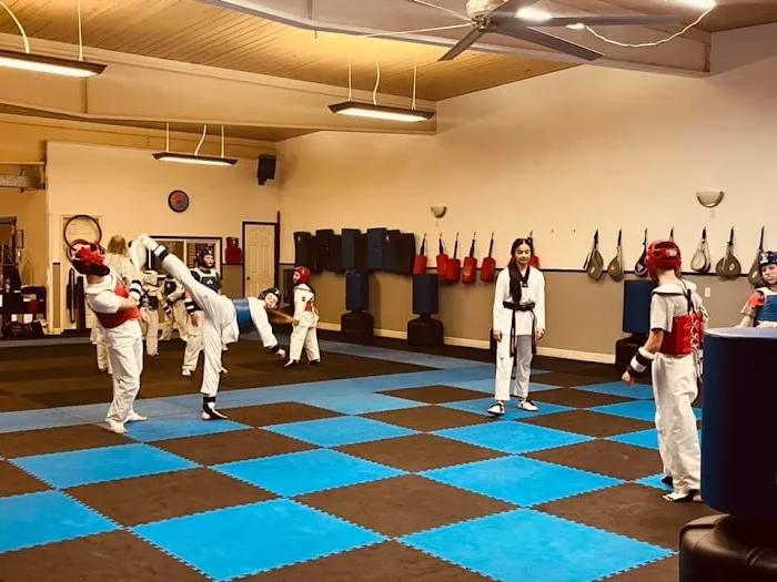 Shiba Taekwondo Picture 8