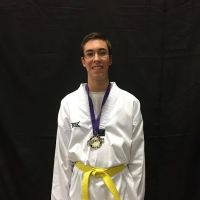 Shiba Taekwondo ico