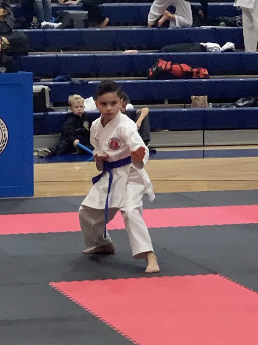 KURO-OBI DOJO SHOTOKAN KARATE-DO CLUBS Picture 4