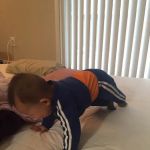 O & M's Hap Kwon DO Martial