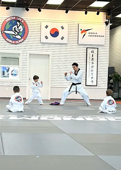 Master Lee's World Class Tae Kwon Do Picture 1