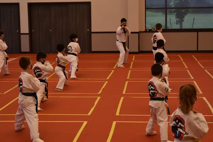 Master Lee's World Class Tae Kwon Do Picture 5