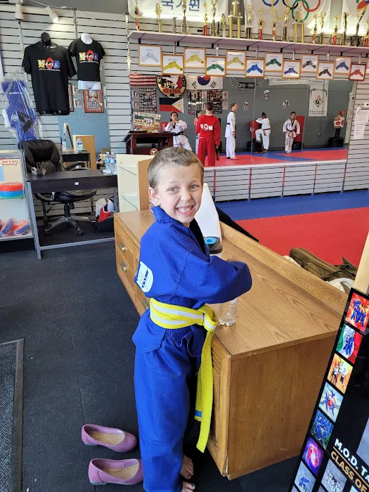 Mod Taekwondo Elite Picture 8