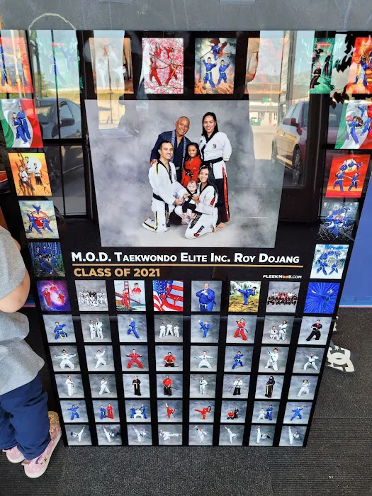 Mod Taekwondo Elite Picture 5