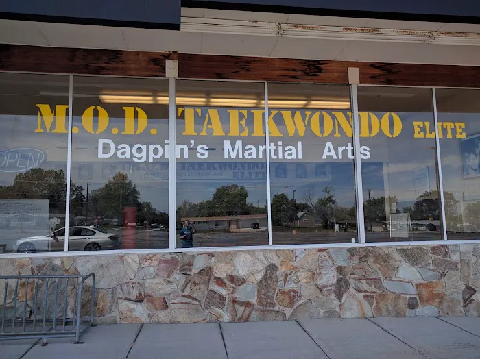 Mod Taekwondo Elite Picture 2