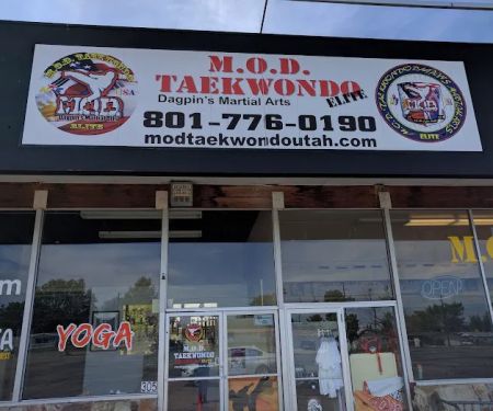 Mod Taekwondo Elite